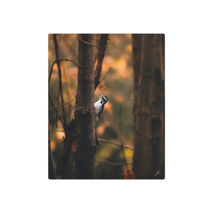 Downy Woodpecker | Metal Art Sign