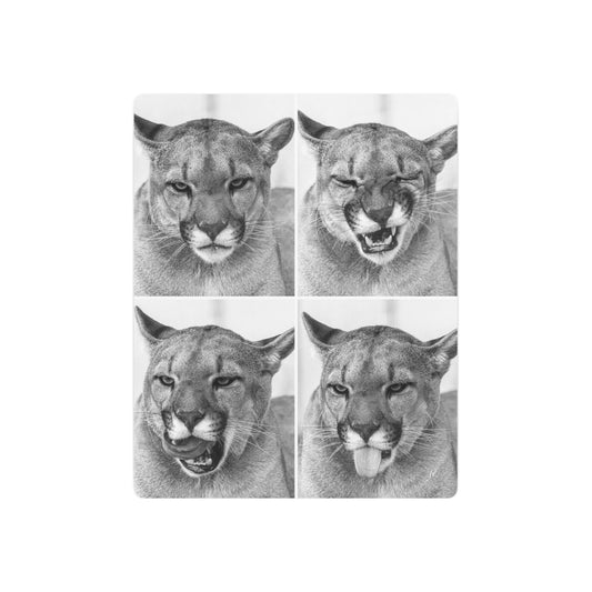 Puma Cat Collage | Metal Art Sign