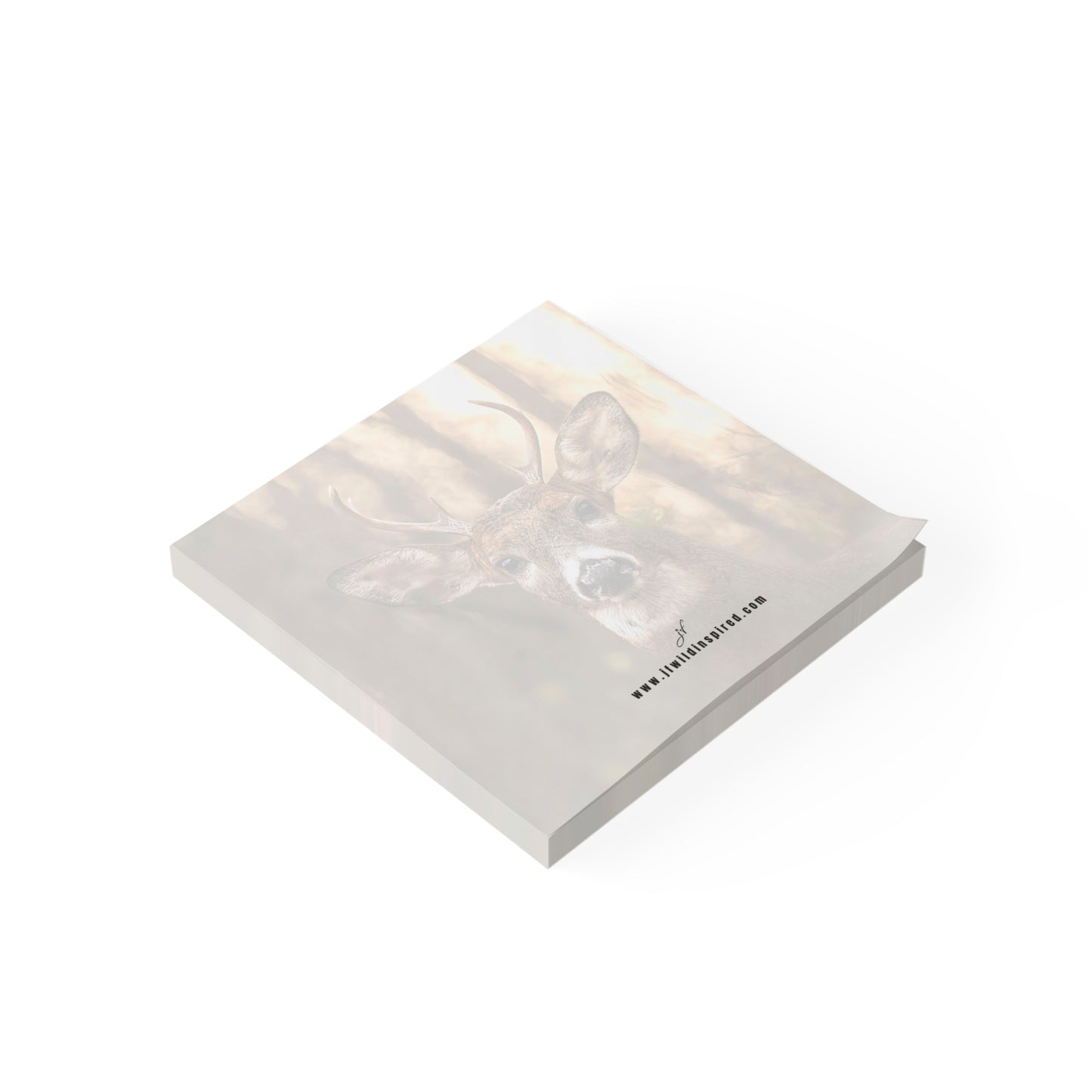 Buck Notebook/Post-It Bundle