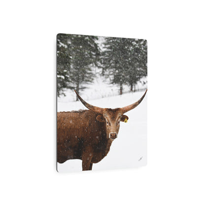 Winter Longhorn Cow | Metal Art Sign
