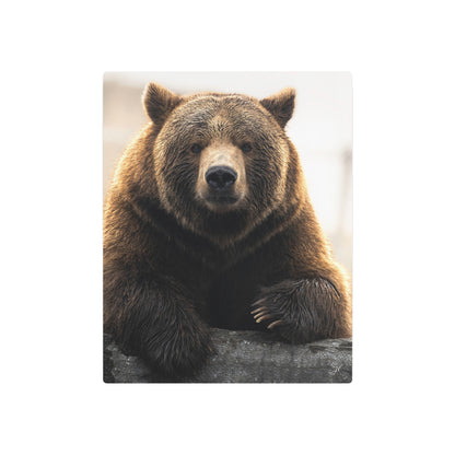 Bear Posing | Metal Art Sign