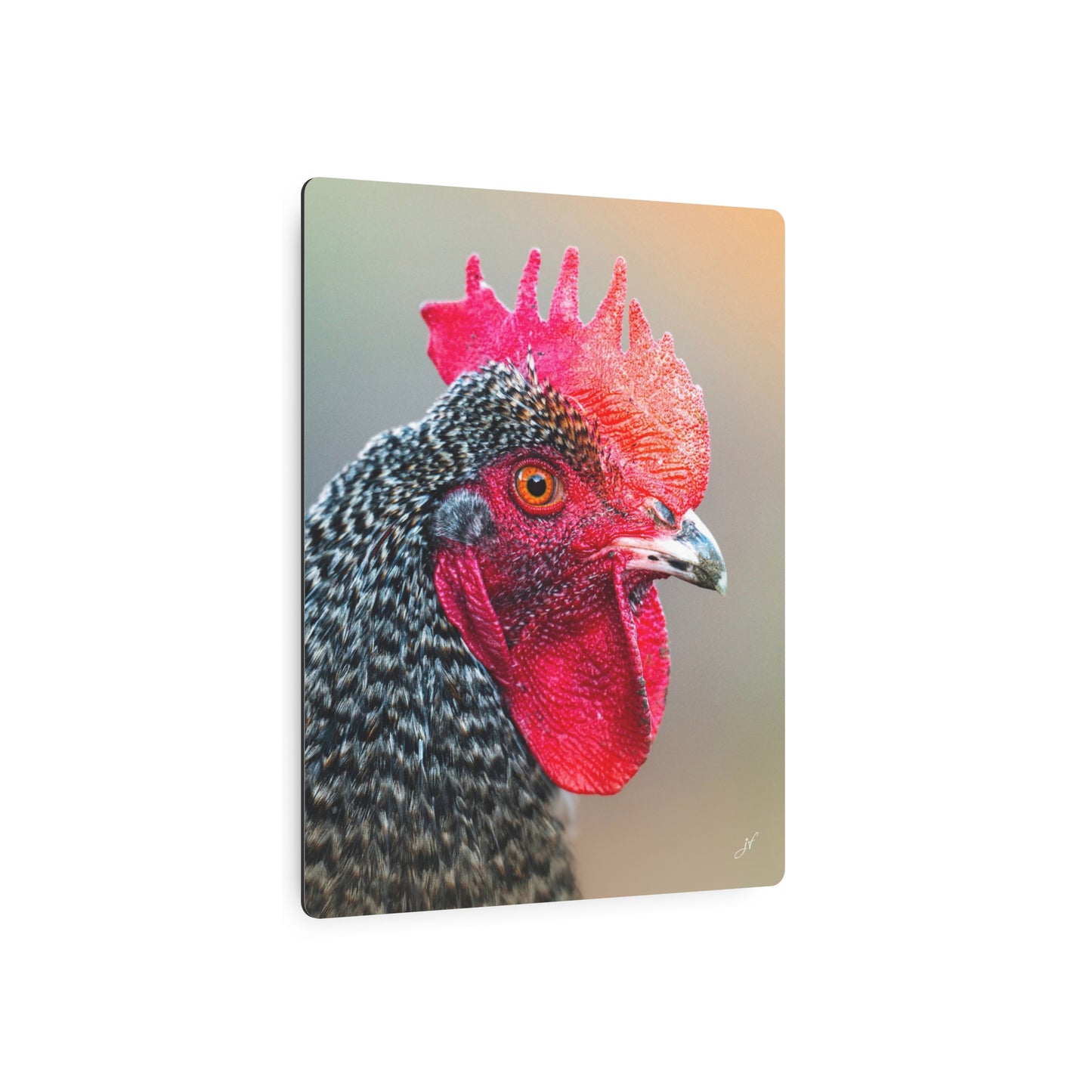 Rooster | Metal Art Sign