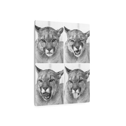 Puma Cat Collage | Metal Art Sign