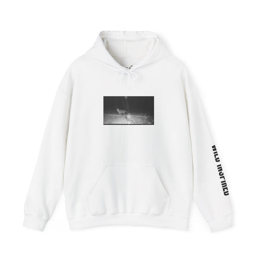 Trail Cam Coyote | Hoodie