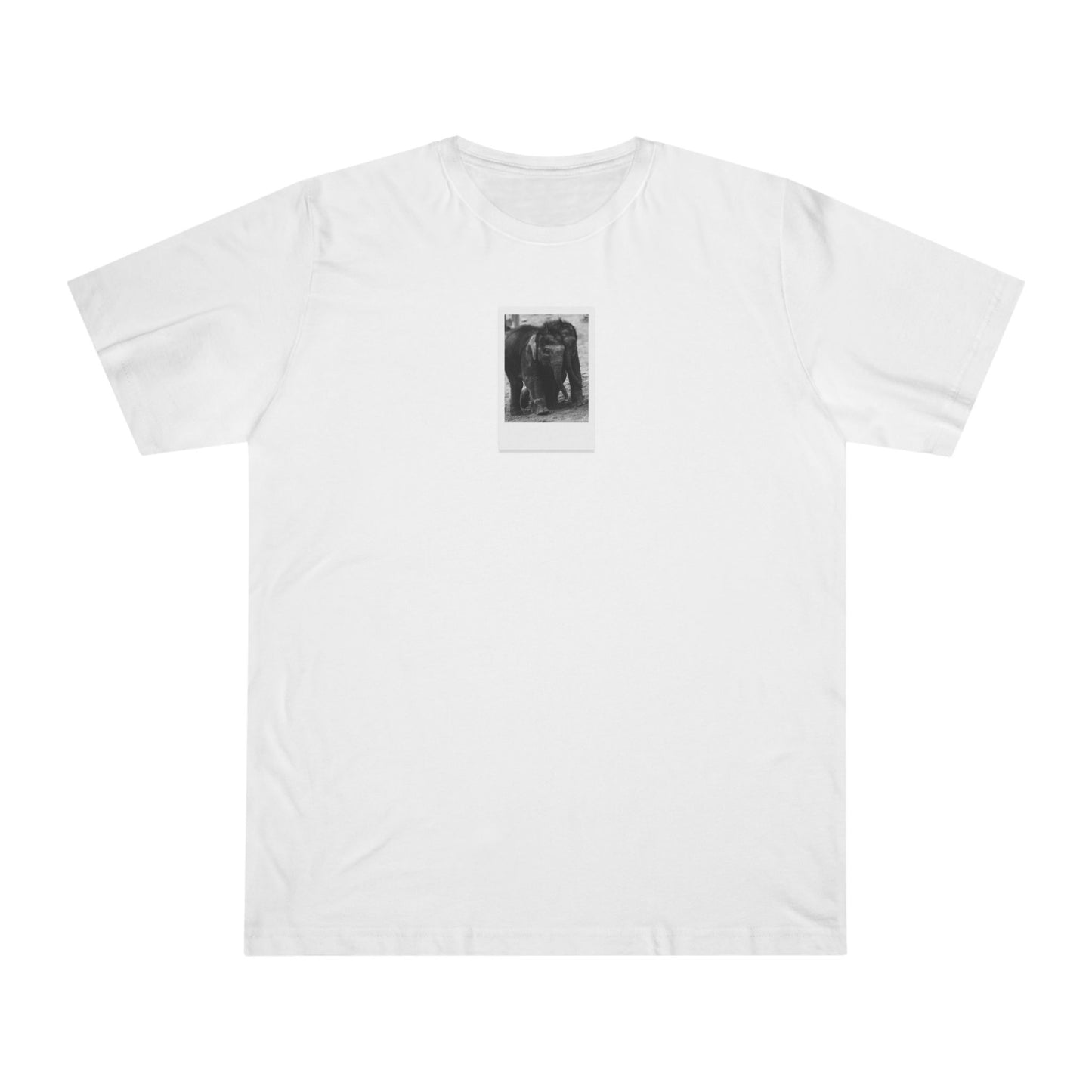 Twin Elephants | T-Shirt