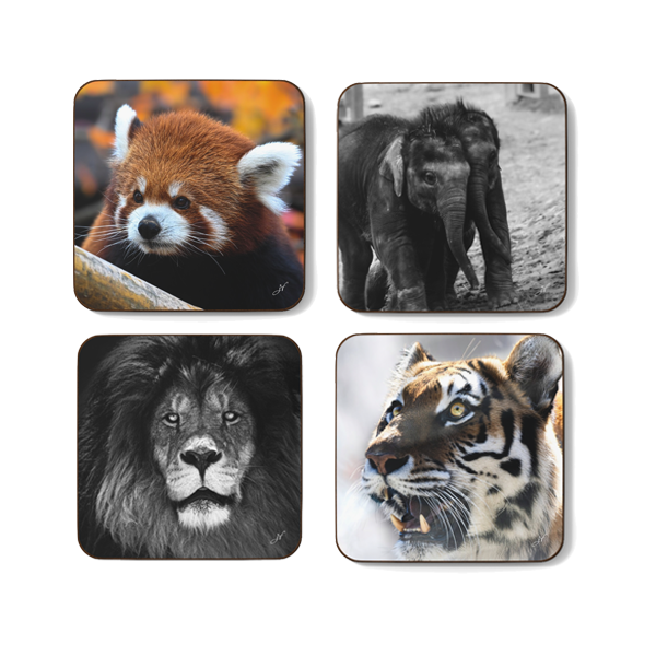 Assorted Wildlife Coaster Bundle