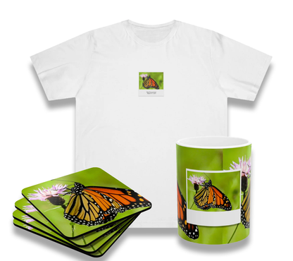 Butterfly Bundle (Coaster Set, Mug and T-Shirt)
