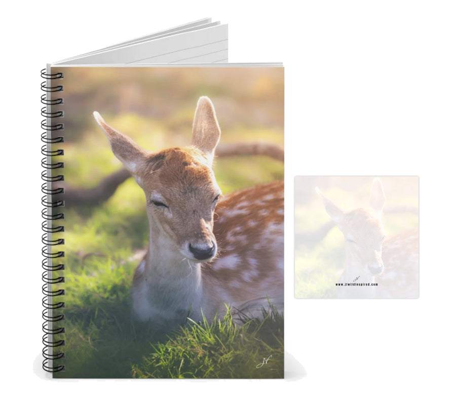 Fawn Notebook/Post-It Bundle