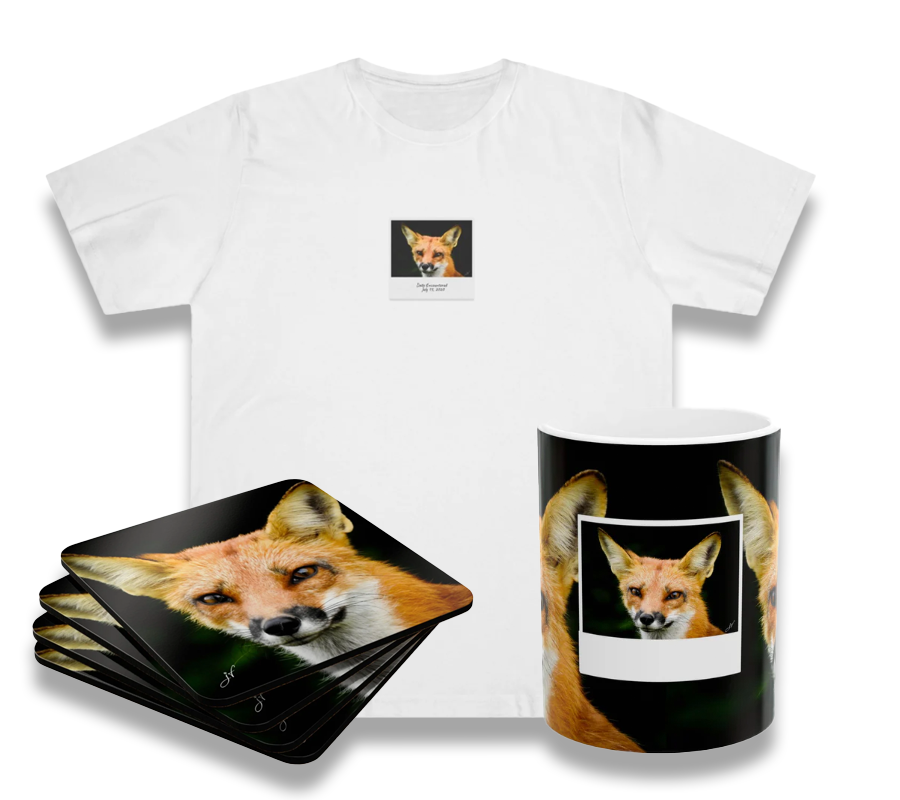 Fox Bundle (Coaster Set, Mug and T-Shirt)