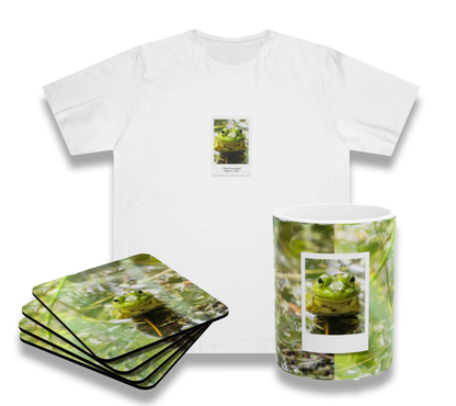 Frog Bundle (Coaster Set, Mug and T-Shirt)