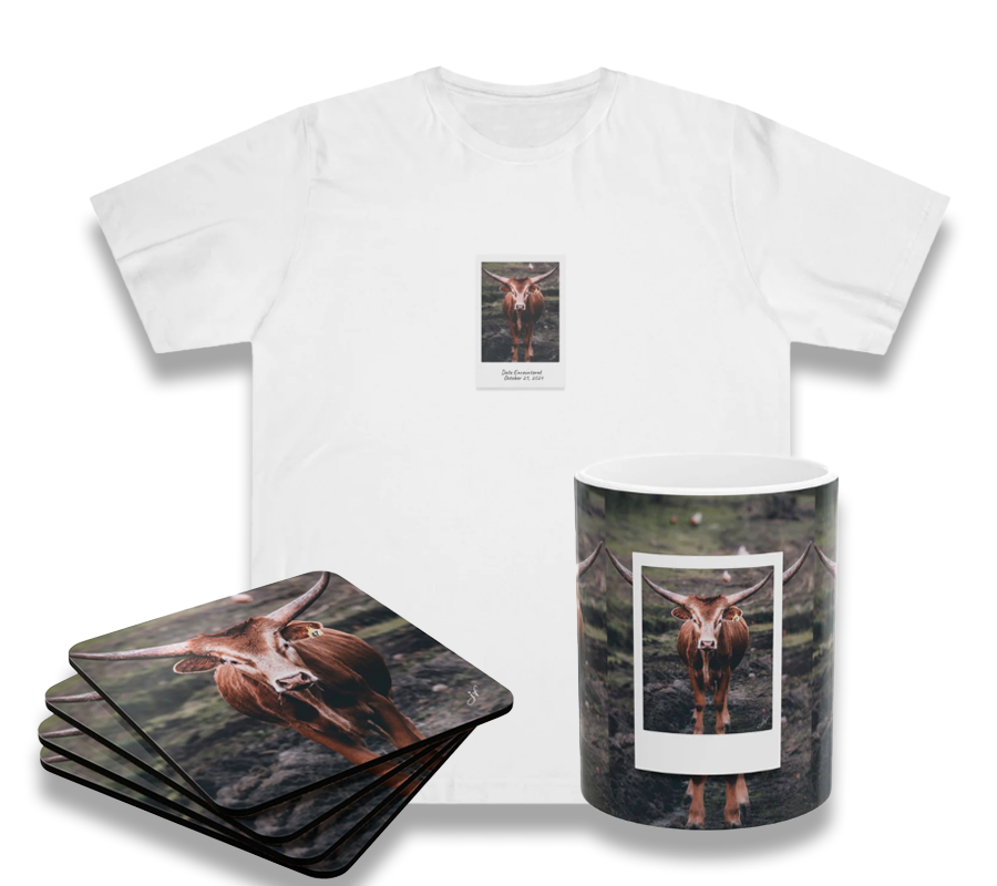Longhorn Cow Bundle (Coaster Set, Mug and T-Shirt)