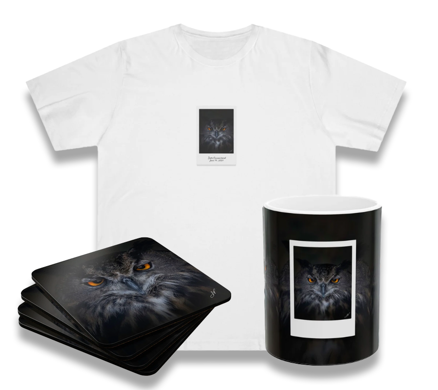 Owl Bundle (Coaster Set, Mug and T-Shirt)