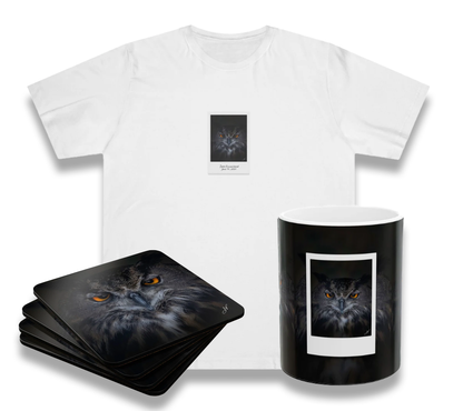 Owl Bundle (Coaster Set, Mug and T-Shirt)