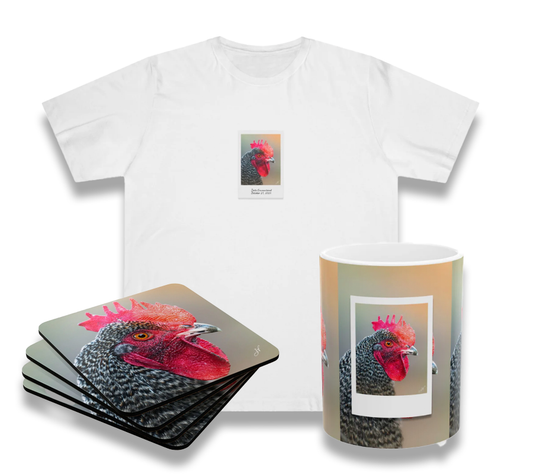 Rooster Bundle (Coaster Set, Mug and T-Shirt)
