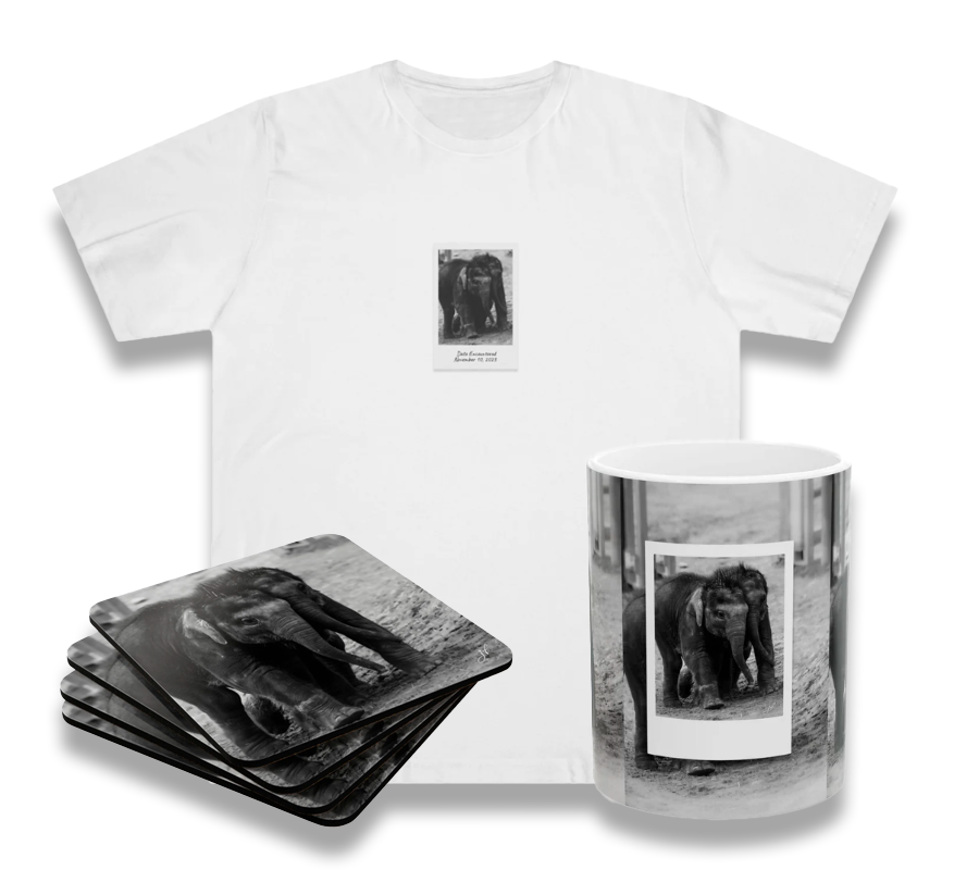Twin Elephants Bundle (Coaster Set, Mug and T-Shirt)