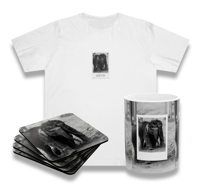 Twin Elephants Bundle (Coaster Set, Mug and T-Shirt)